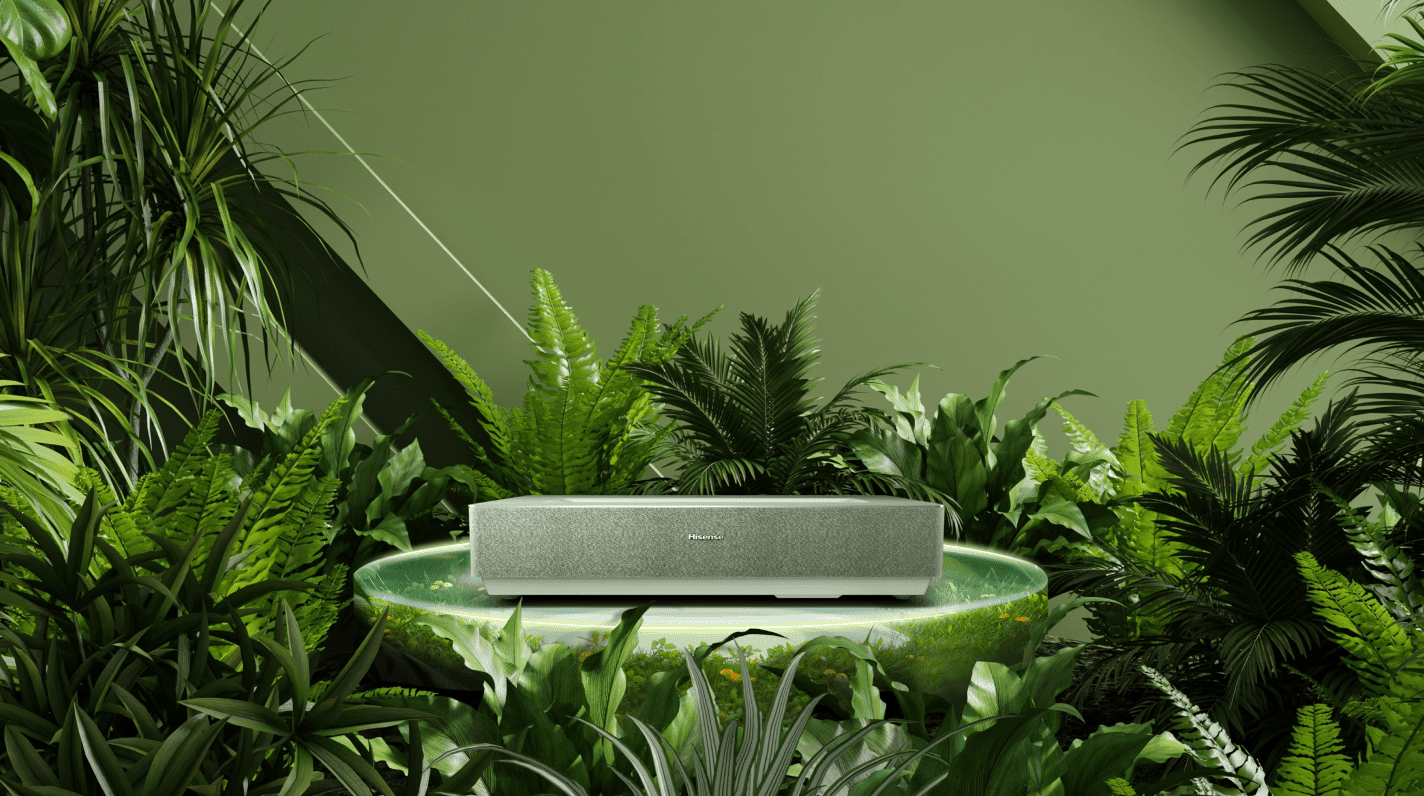 new-image-66aa9f6534c24 (1)